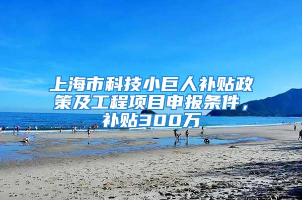 上海市科技小巨人补贴政策及工程项目申报条件，补贴300万