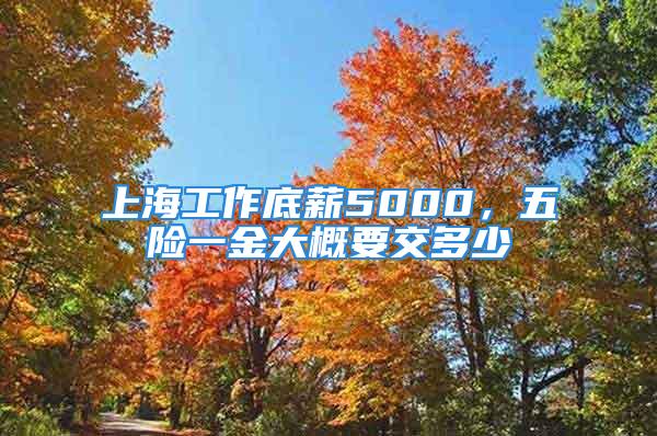 上海工作底薪5000，五险一金大概要交多少