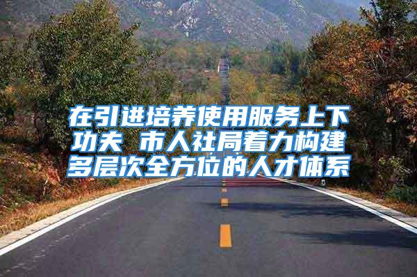 在引进培养使用服务上下功夫 市人社局着力构建多层次全方位的人才体系