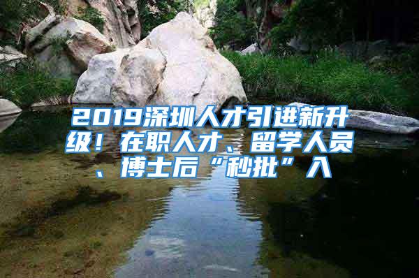 2019深圳人才引进新升级！在职人才、留学人员、博士后“秒批”入