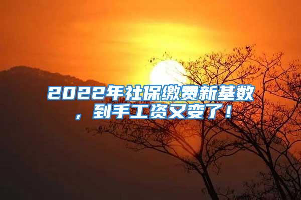 2022年社保缴费新基数，到手工资又变了！