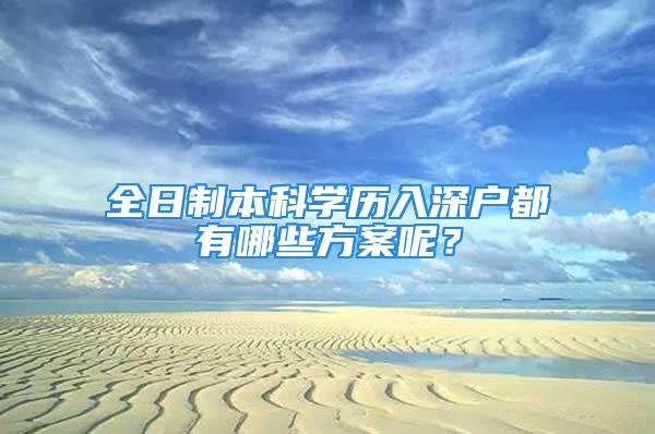 全日制本科学历入深户都有哪些方案呢？