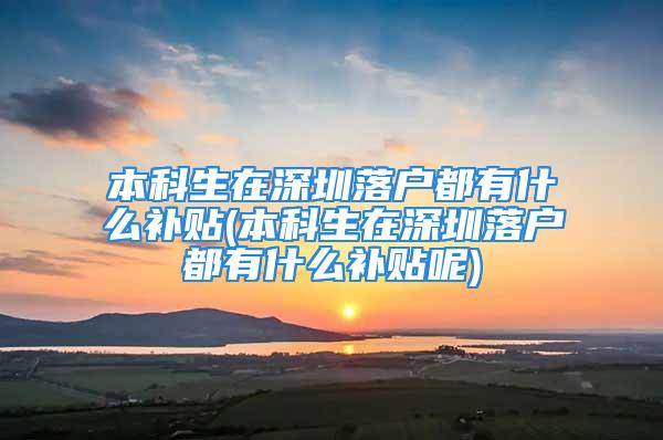 本科生在深圳落户都有什么补贴(本科生在深圳落户都有什么补贴呢)