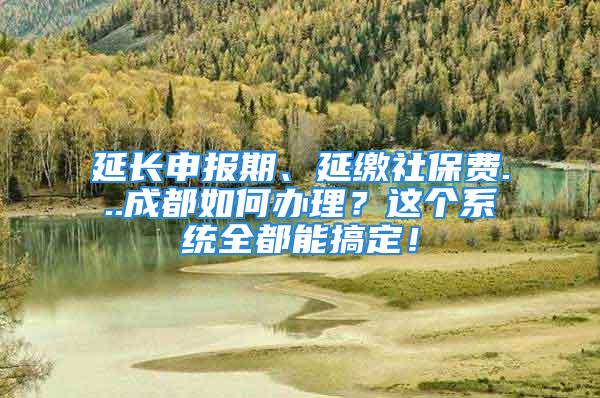 延长申报期、延缴社保费...成都如何办理？这个系统全都能搞定！