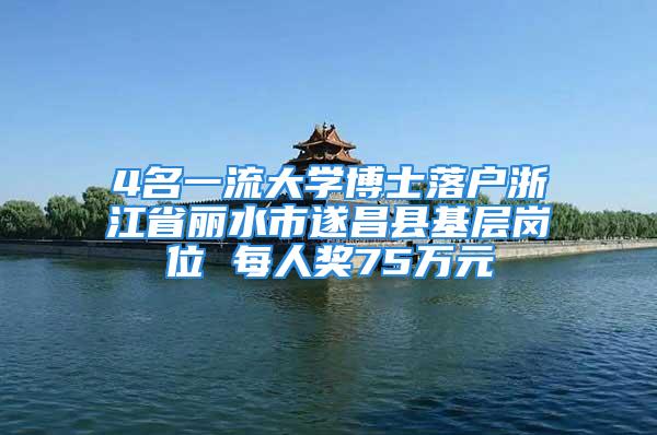 4名一流大学博士落户浙江省丽水市遂昌县基层岗位 每人奖75万元