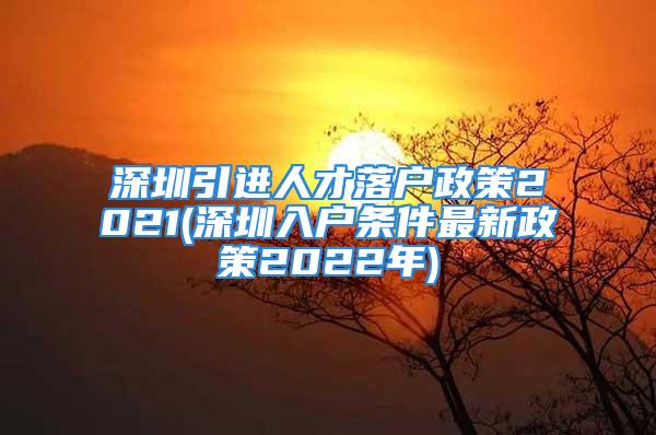 深圳引进人才落户政策2021(深圳入户条件最新政策2022年)