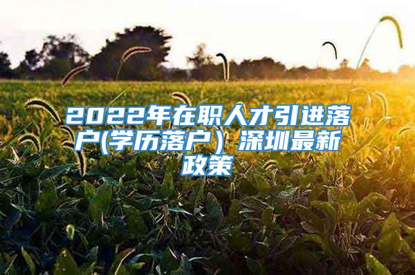 2022年在职人才引进落户(学历落户）深圳最新政策