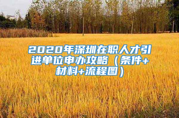 2020年深圳在职人才引进单位申办攻略（条件+材料+流程图）