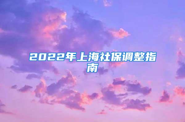 2022年上海社保调整指南