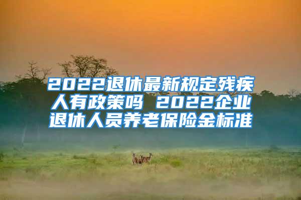 2022退休最新规定残疾人有政策吗 2022企业退休人员养老保险金标准