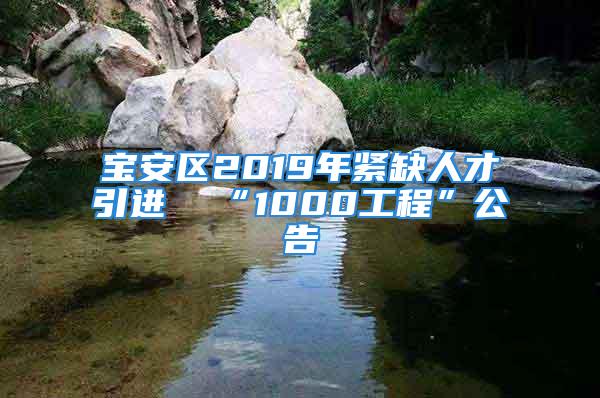 宝安区2019年紧缺人才引进  “1000工程”公告