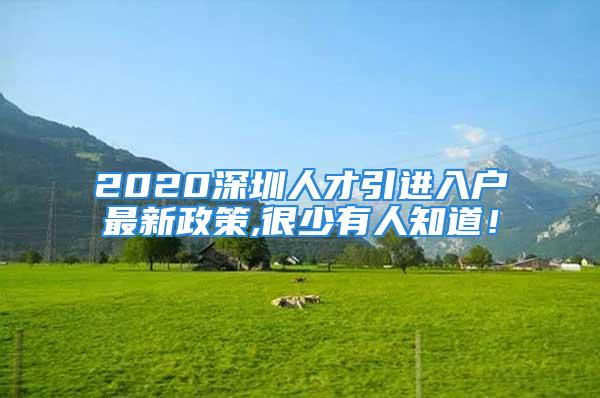 2020深圳人才引进入户最新政策,很少有人知道！