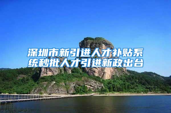 深圳市新引进人才补贴系统秒批人才引进新政出台