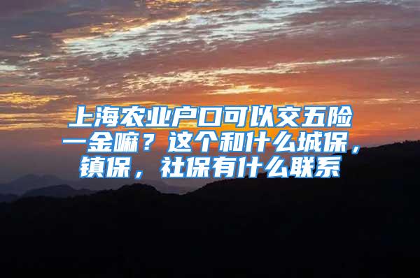 上海农业户口可以交五险一金嘛？这个和什么城保，镇保，社保有什么联系