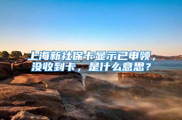 上海新社保卡显示已申领，没收到卡，是什么意思？