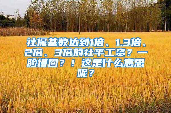 社保基数达到1倍、1.3倍、2倍、3倍的社平工资？一脸懵圈？！这是什么意思呢？