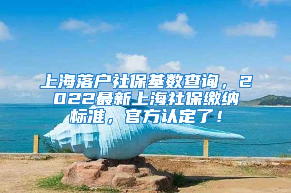 上海落户社保基数查询，2022最新上海社保缴纳标准，官方认定了！