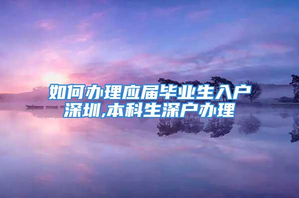 如何办理应届毕业生入户深圳,本科生深户办理