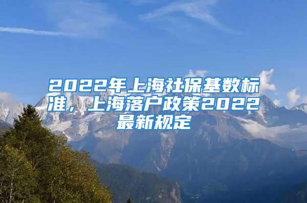 2022年上海社保基数标准，上海落户政策2022最新规定