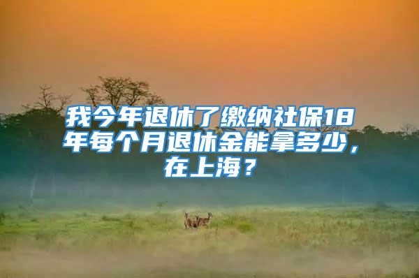 我今年退休了缴纳社保18年每个月退休金能拿多少，在上海？