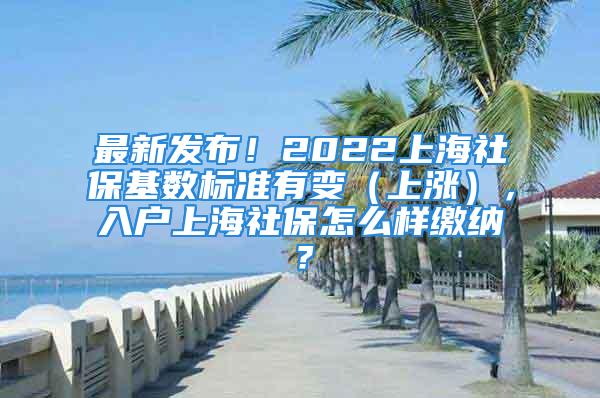 最新发布！2022上海社保基数标准有变（上涨），入户上海社保怎么样缴纳？