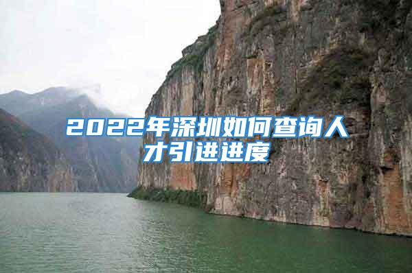 2022年深圳如何查询人才引进进度