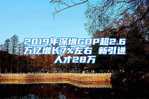 2019年深圳GDP超2.6万亿增长7%左右 新引进人才28万