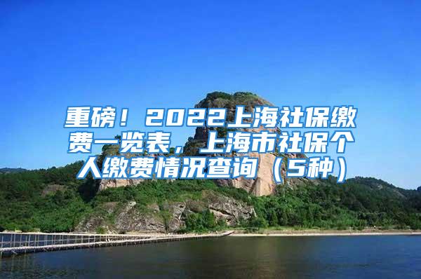 重磅！2022上海社保缴费一览表，上海市社保个人缴费情况查询（5种）