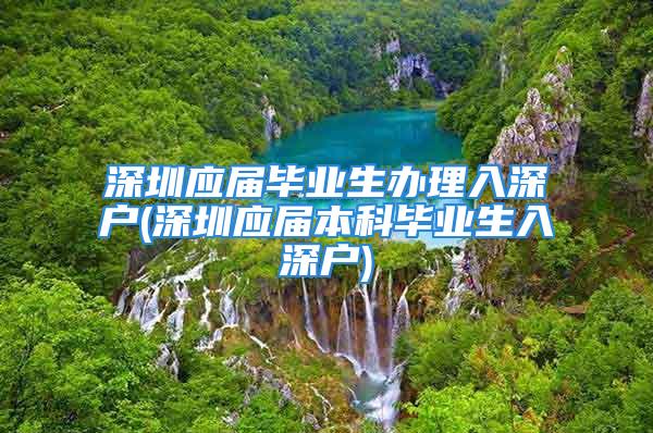 深圳应届毕业生办理入深户(深圳应届本科毕业生入深户)