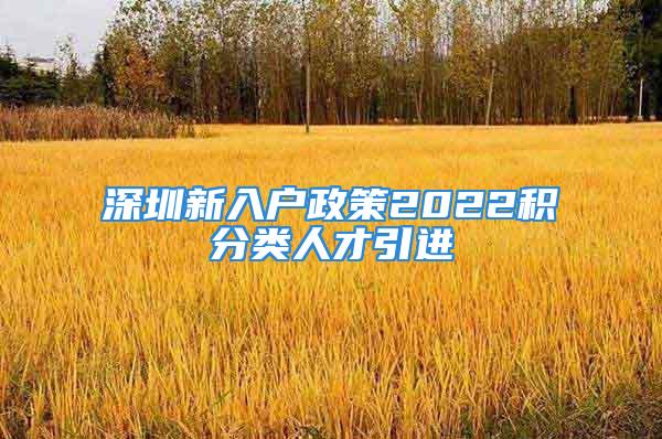 深圳新入户政策2022积分类人才引进