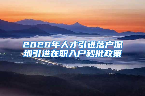 2020年人才引进落户深圳引进在职入户秒批政策