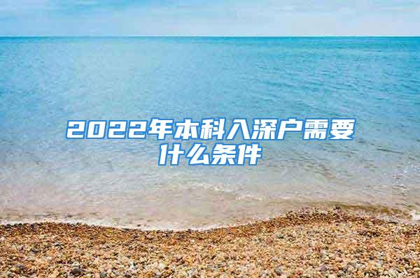 2022年本科入深户需要什么条件