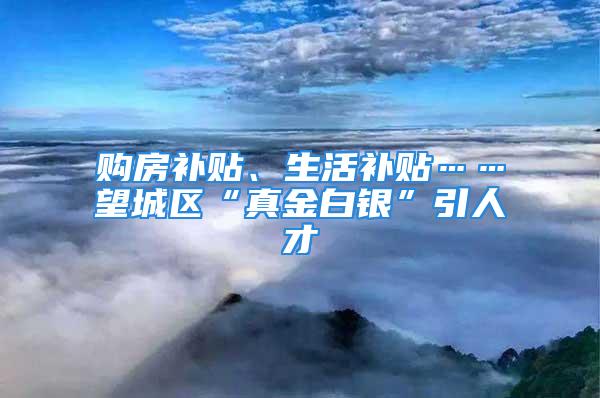 购房补贴、生活补贴……望城区“真金白银”引人才