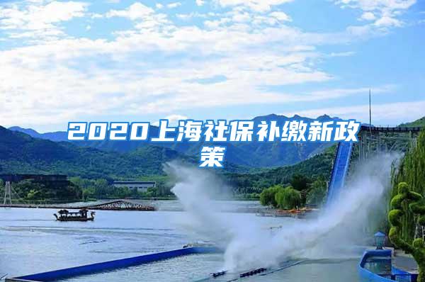 2020上海社保补缴新政策