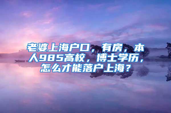 老婆上海户口，有房，本人985高校，博士学历，怎么才能落户上海？