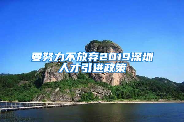 要努力不放弃2019深圳人才引进政策