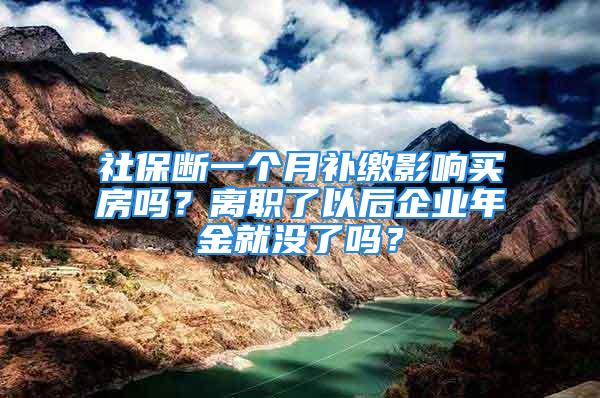 社保断一个月补缴影响买房吗？离职了以后企业年金就没了吗？