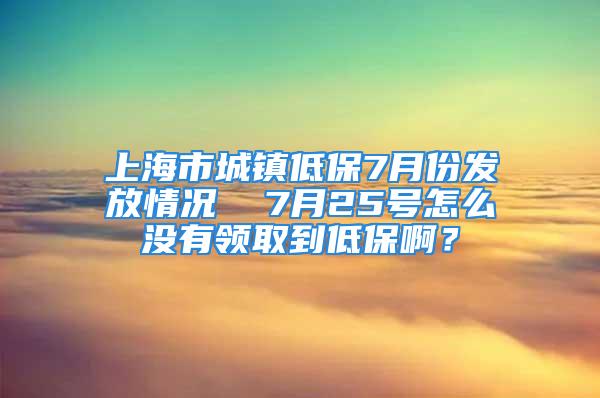 上海市城镇低保7月份发放情况  7月25号怎么没有领取到低保啊？