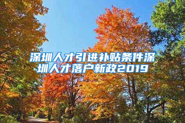 深圳人才引进补贴条件深圳人才落户新政2019