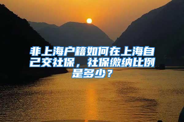 非上海户籍如何在上海自己交社保，社保缴纳比例是多少？