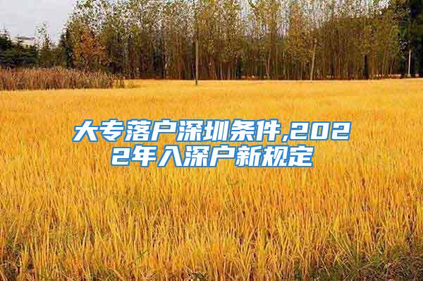 大专落户深圳条件,2022年入深户新规定