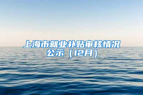 上海市就业补贴审核情况公示（12月）