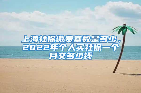 上海社保缴费基数是多少，2022年个人买社保一个月交多少钱