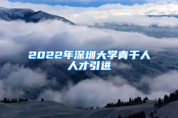 2022年深圳大学青千人人才引进