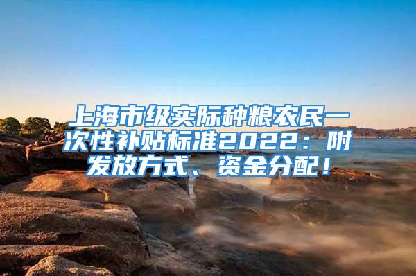 上海市级实际种粮农民一次性补贴标准2022：附发放方式、资金分配！