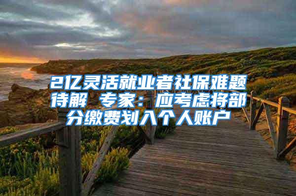 2亿灵活就业者社保难题待解 专家：应考虑将部分缴费划入个人账户