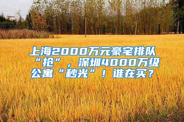 上海2000万元豪宅排队“抢”，深圳4000万级公寓“秒光”！谁在买？