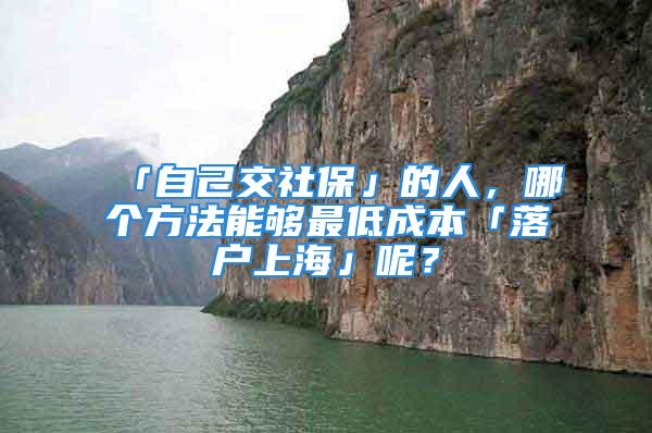 「自己交社保」的人，哪个方法能够最低成本「落户上海」呢？