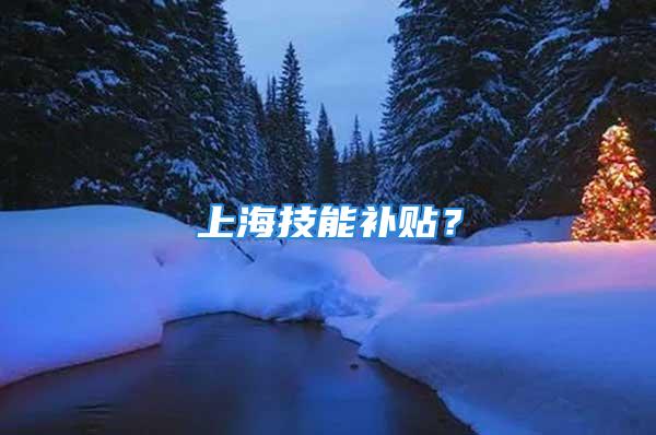 上海技能补贴？