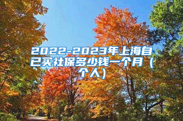 2022-2023年上海自已买社保多少钱一个月（个人）